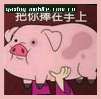 孙丽